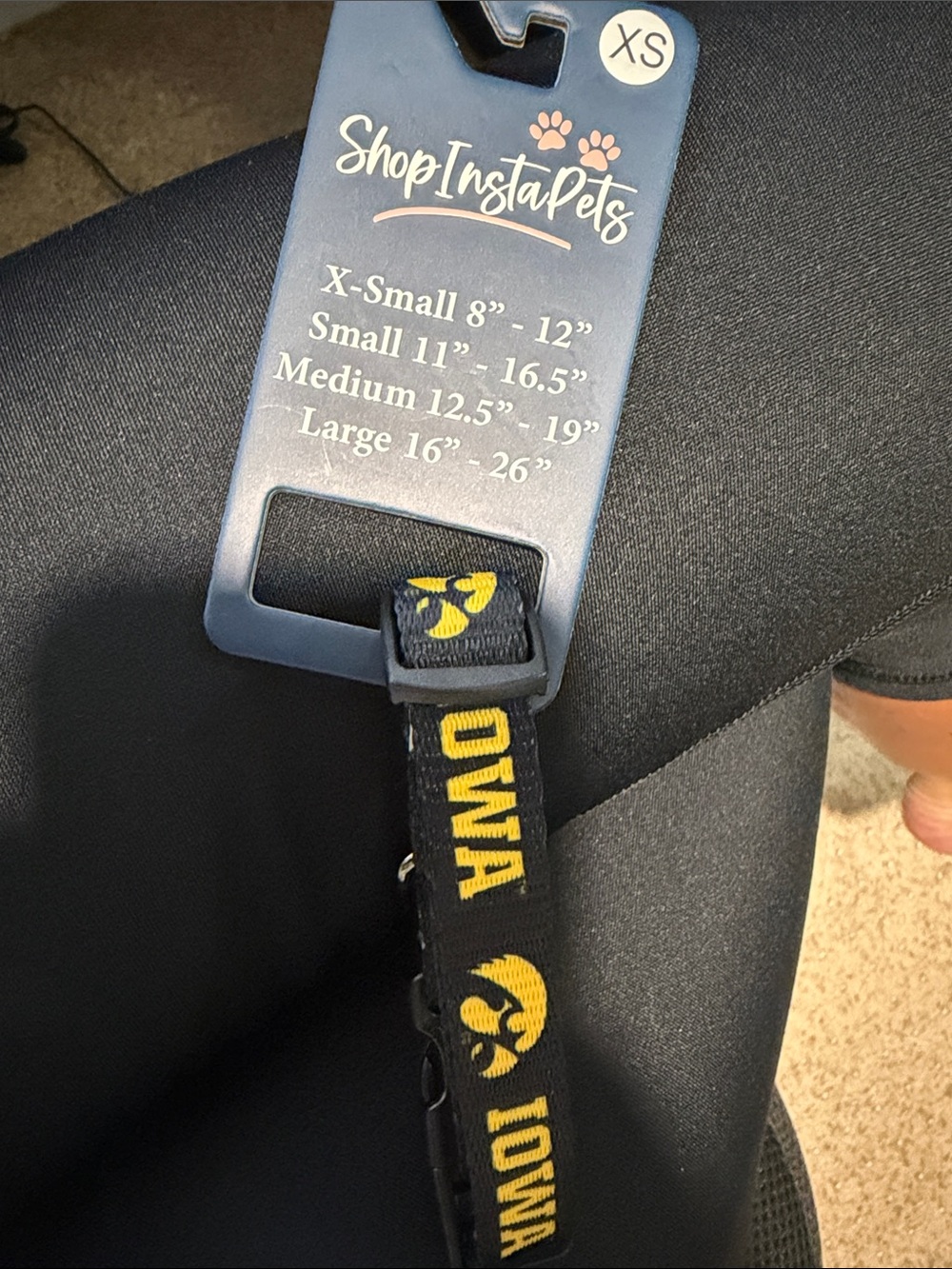 Iowa Hawkeye Dog Collar